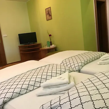 Gasthof Restaurace A Lesna 3*